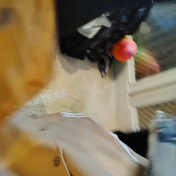 Size Medium Coat Jacket Bundle, Guess and Dior - Picture 15 of 17